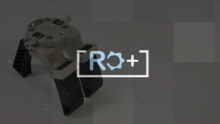 Raye Lab -  Bio-inspired Robotics